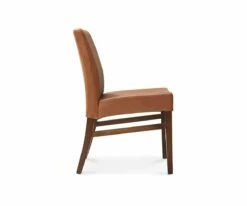 D41 Barrima Dining Chair - Saddle/Walnut -Dining Room Shop D41 17 860 1 W TN 04