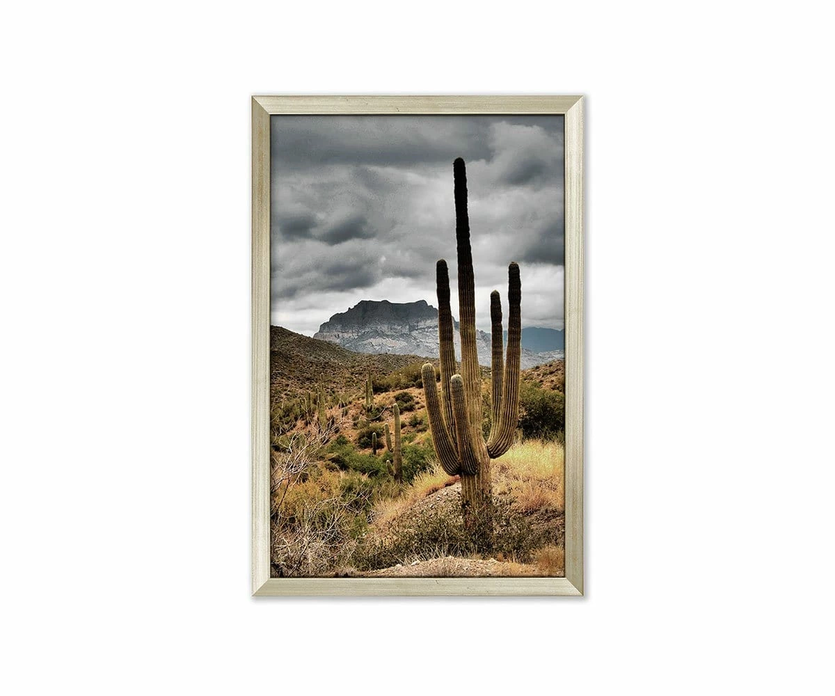 L33 Desert Sunrise 1 L33 Desert Sunrise