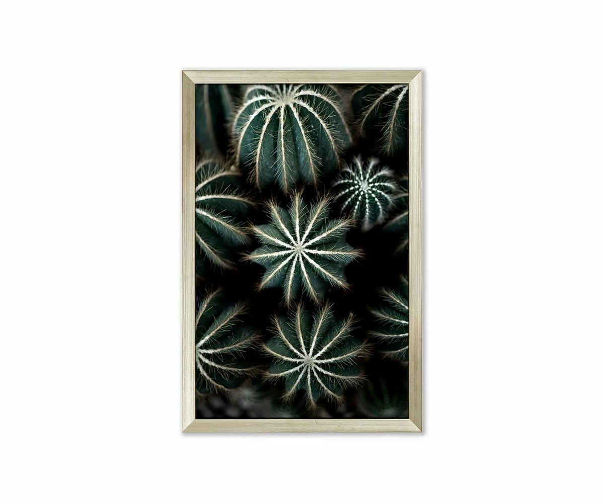 L33 Enchanted Effervescence 1 L33 Enchanted Effervescence